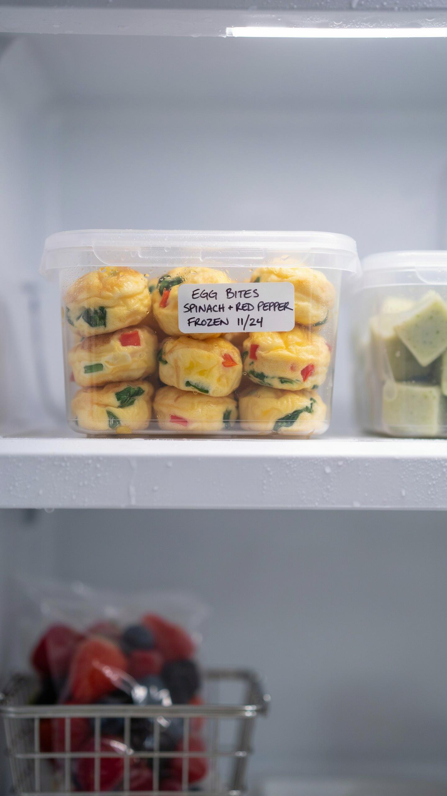 The Freezer Egg Bites Matrix Optimal Storage Longevity