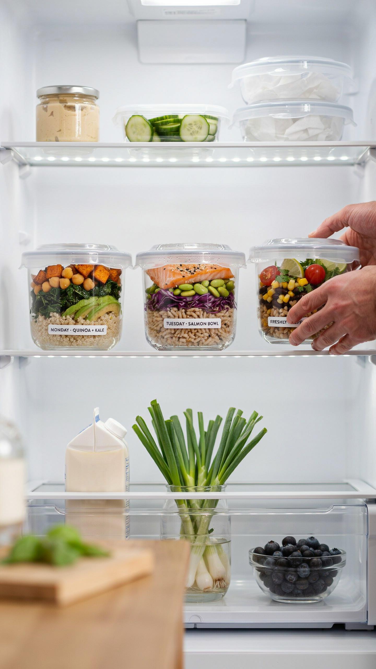 Engineered Longevity Storing Your Power Bowls